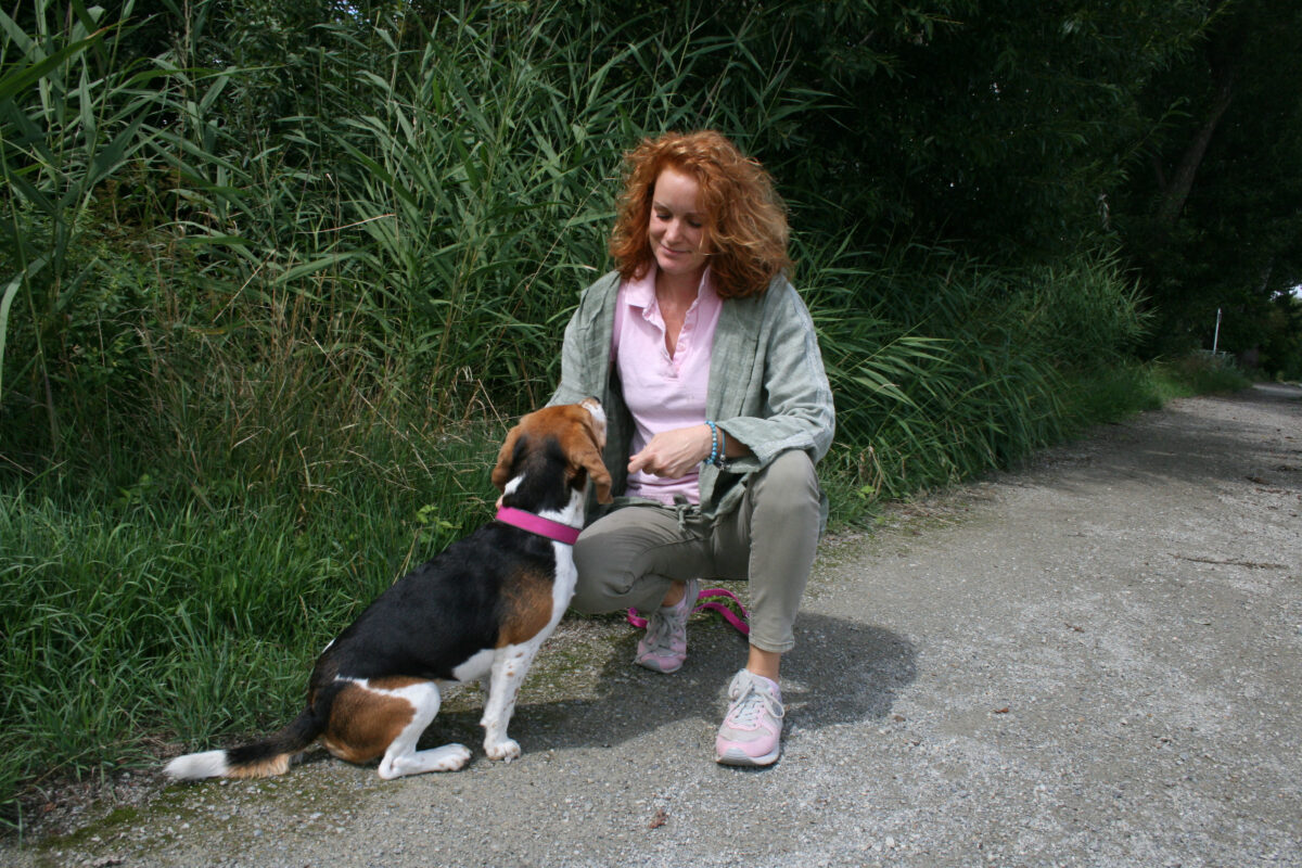 IMG 20210806 WA0057 1200x800