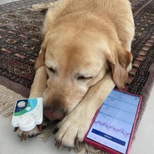 K800 Shiva 20250801 1 300x300