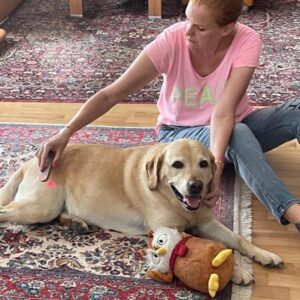 K800 Shiva 20250801 Beo2 300x300