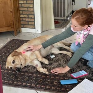 K800 Shiva 2025 03 20 1 300x300